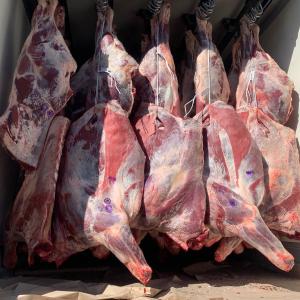 Охлажденное мясо говядины в четвертинах